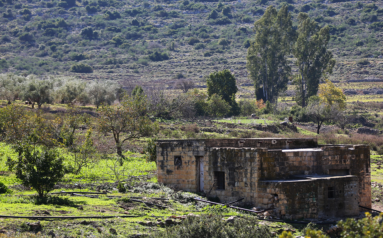 من وادي قانا (تصوير: حذيفة سرور/ وفا)